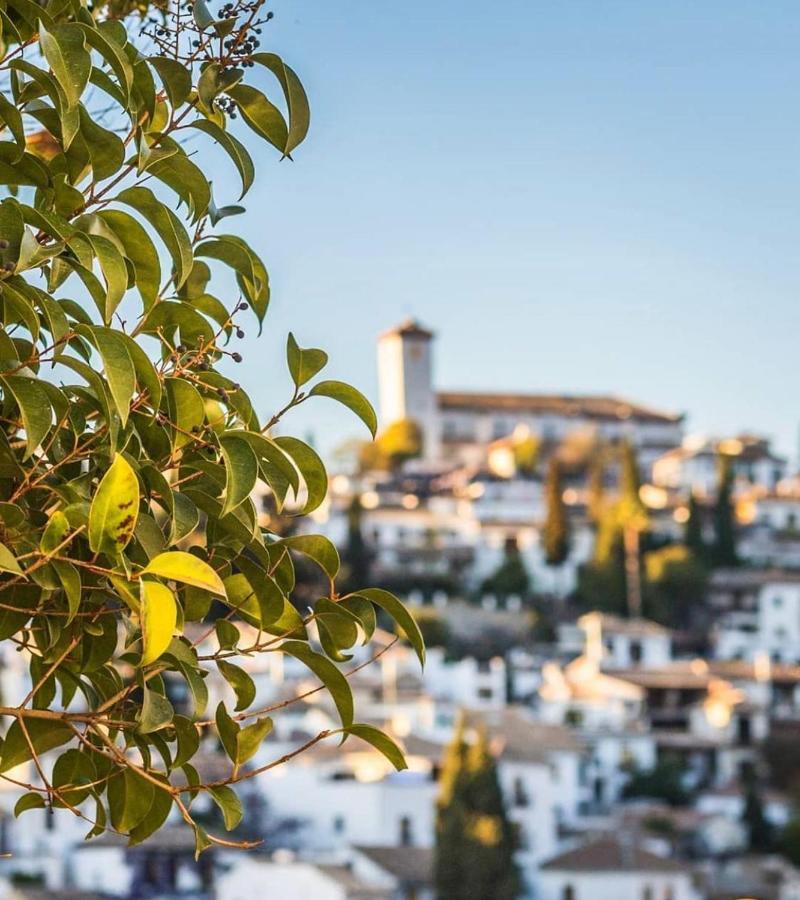 Hotel Reina Cristina Granada Exterior photo